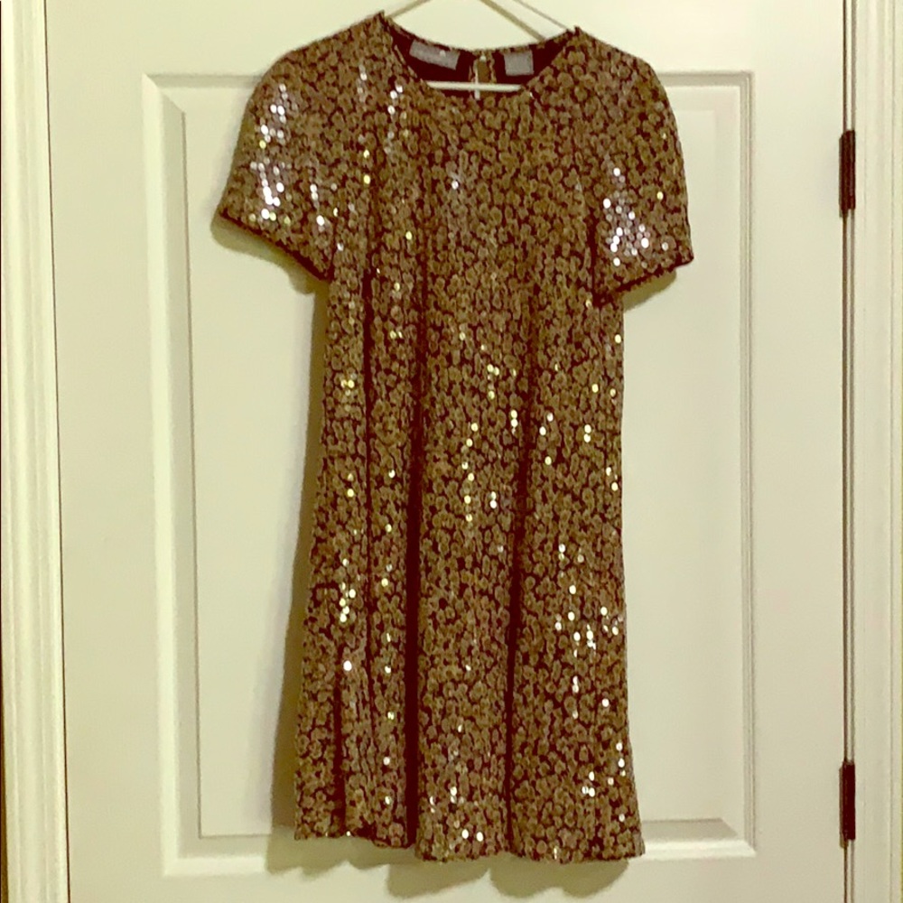 Sequined swing dress